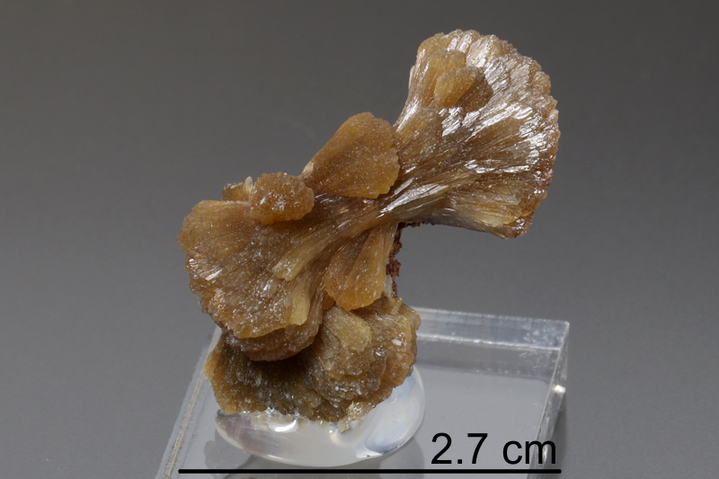 Stilbite (Cape Blomidon, NS)